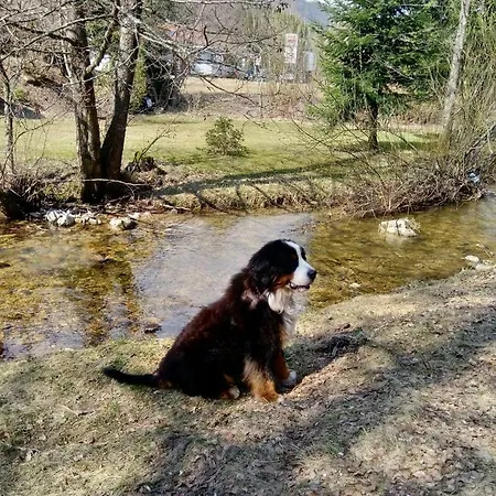 Auszeit Mit Pool In Appartamento *