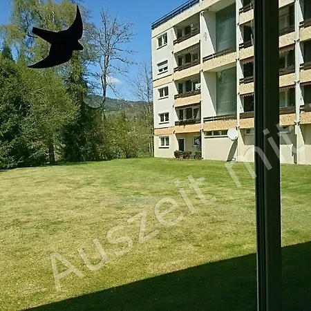 Appartamento Auszeit Mit Pool In Todtmoos