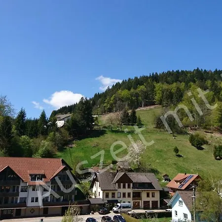 Apartment Auszeit Mit Pool In *